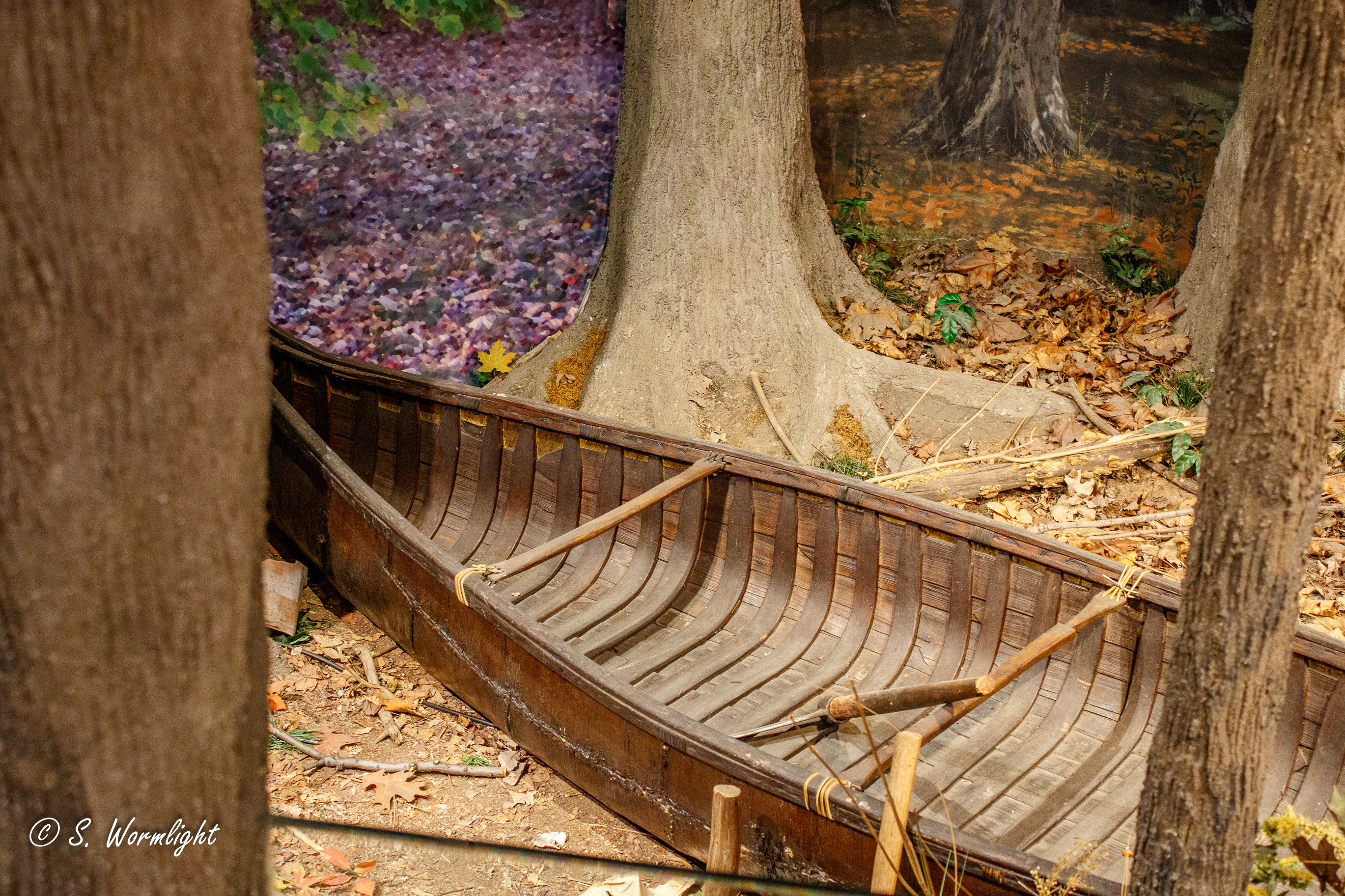 Meeting Photo Slide Show